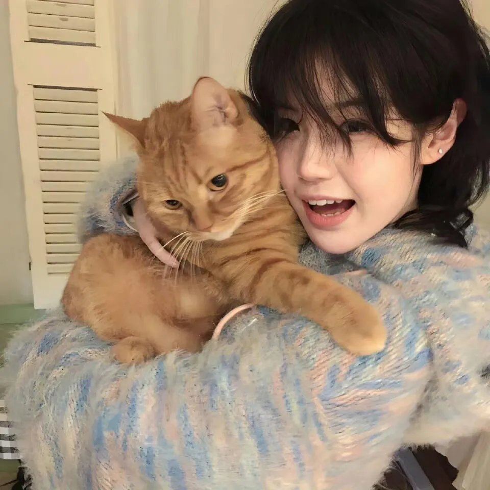 瓦尼塔斯的不死笔记