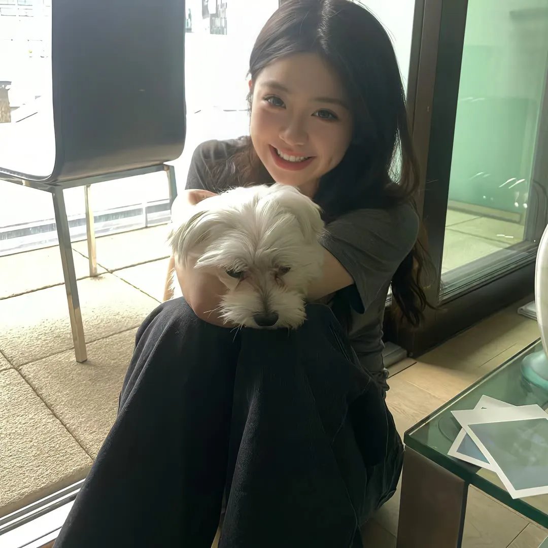 轮廓中的真相